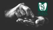 ¿Volverá a haber pago DOBLE de la Pensión IMSS en abril?