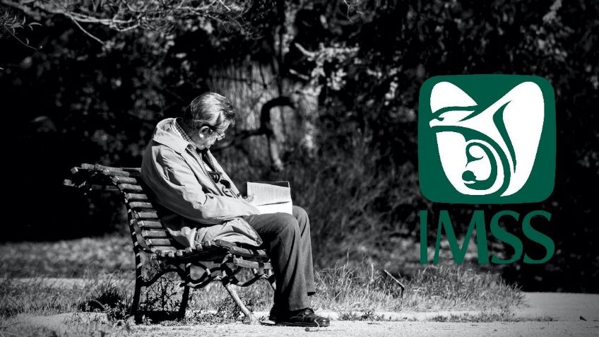 Pensión IMSS 2022: ¿Cómo saber cuántas semanas llevo cotizadas?