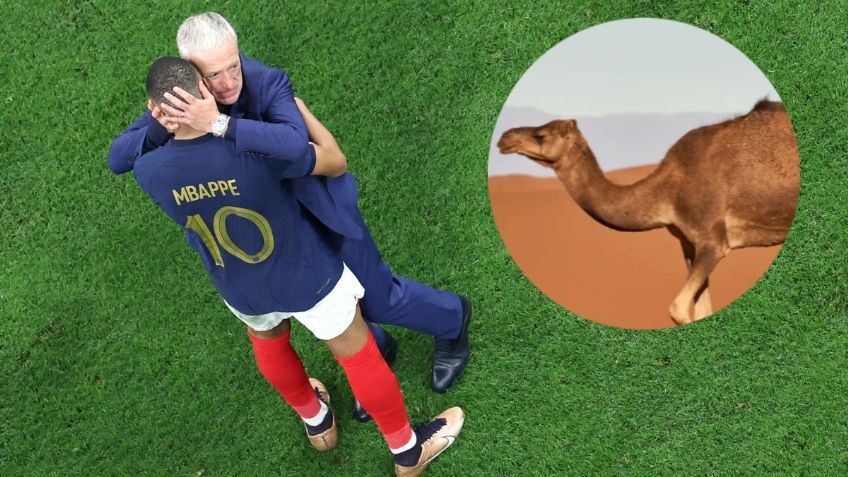 Los 3 futbolistas de Francia que se perderían la final ante Argentina por la Gripe del Camello