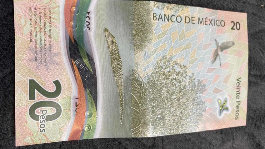 ¿Cómo reconocer el billete de 20 pesos por el que ofrecen 400 mil pesos?