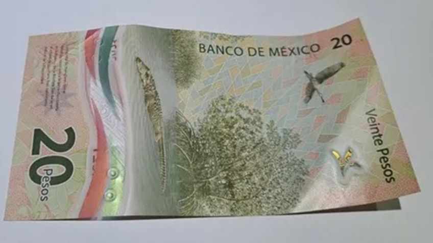El billete de 20 pesos que vale 250 mil pesos: ¿características y cómo reconocerlo?