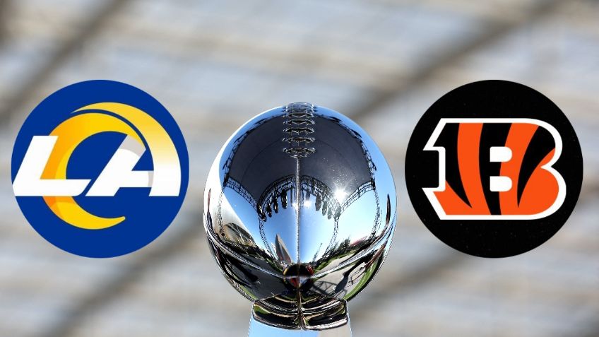 NFL: ¿Bengals o Rams? Delfín y perrito predicen al ganador del Super Bowl LVI (VIDEO)