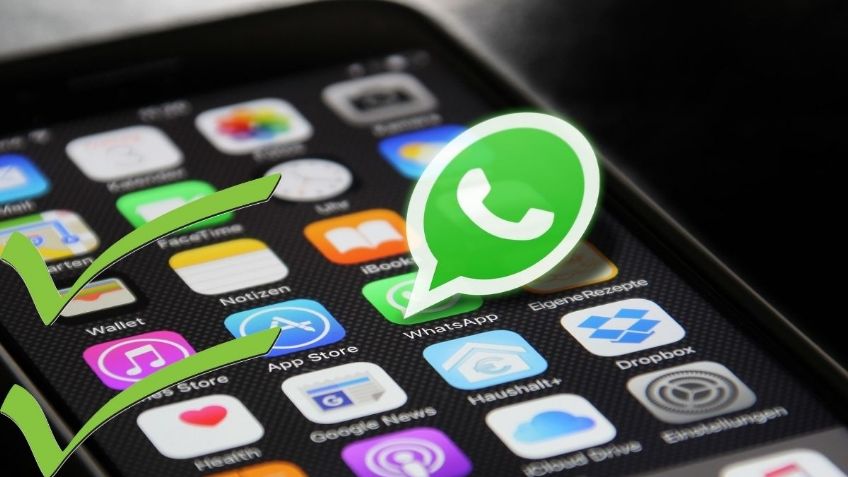 WhatsApp: ¿Cómo silenciar a otros contactos en una llamada de voz grupal?