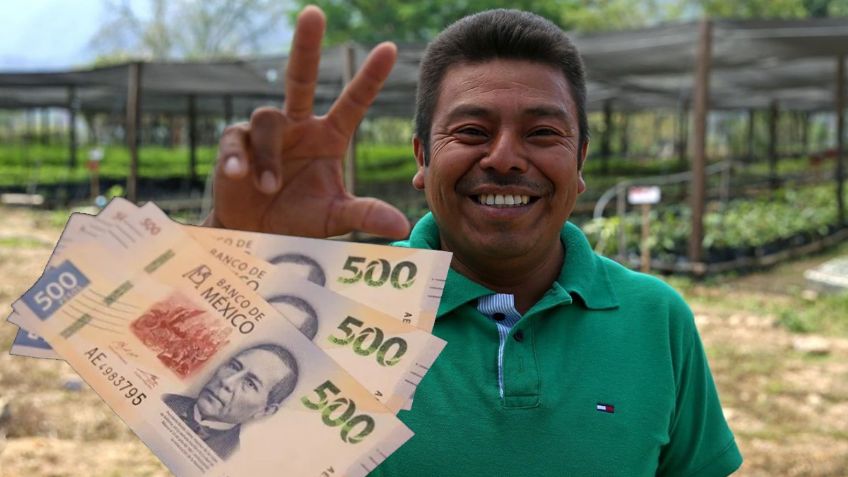 Pensión: Así puedes obtener una pensión de hasta 20 mil pesos