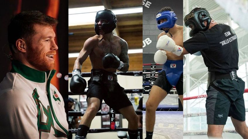 ¿Quiénes son los mejores 4 boxeadores por arriba de Canelo Álvarez?