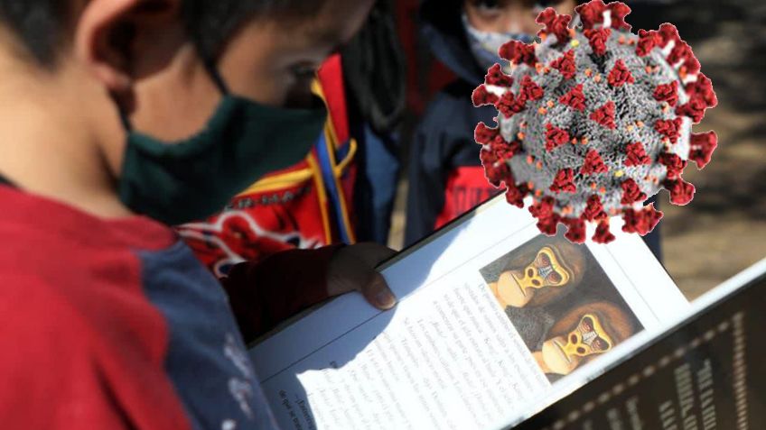 SEP: Estados que NO volverán a clases presenciales en febrero