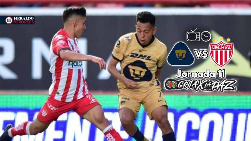 Qué canal transmite Pumas vs Necaxa EN VIVO por TV: Jornada 11 Liga MX