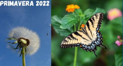 Primavera 2022: Así será el CLIMA en esta temporada del año