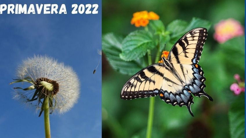 Primavera 2022: Así será el CLIMA en esta temporada del año