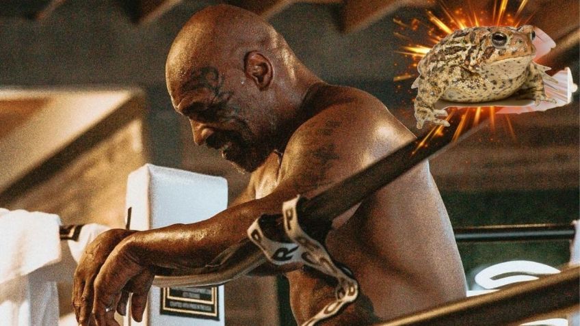 Mike Tyson y la droga que lo convenció para volver al cuadrilátero después de 15 años