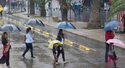 Ciclón Agatha: ¿Cuándo llegaría como huracán a Oaxaca? Puede cruzar hacia Yucatán