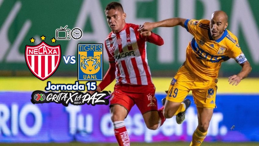 Qué canal transmite Necaxa vs Tigres EN VIVO por TV: Jornada 15 Liga MX