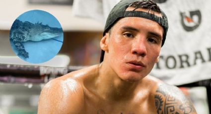 Óscar Valdez aparece nadando con un caimán días antes de su pelea con Stevenson