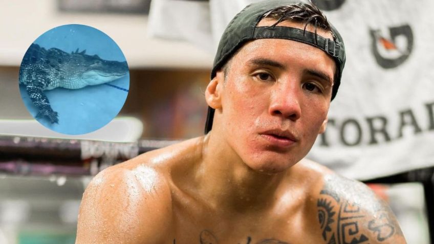 Óscar Valdez aparece nadando con un caimán días antes de su pelea con Stevenson