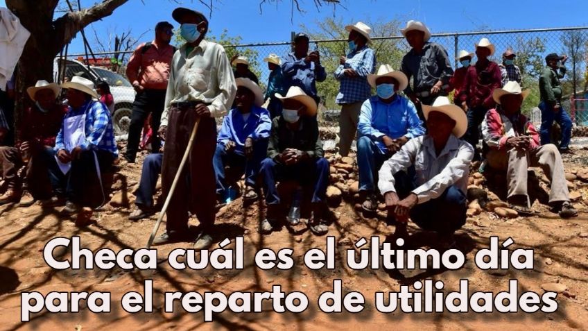 Reparto de Utilidades 2022: ¿Cuándo es el último día para recibirlas y qué hacer si no las dan?