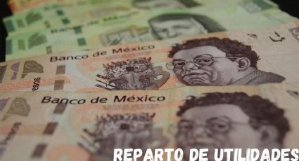 Reparto de Utilidades 2022: ¿Cómo saber cuánto me corresponde?