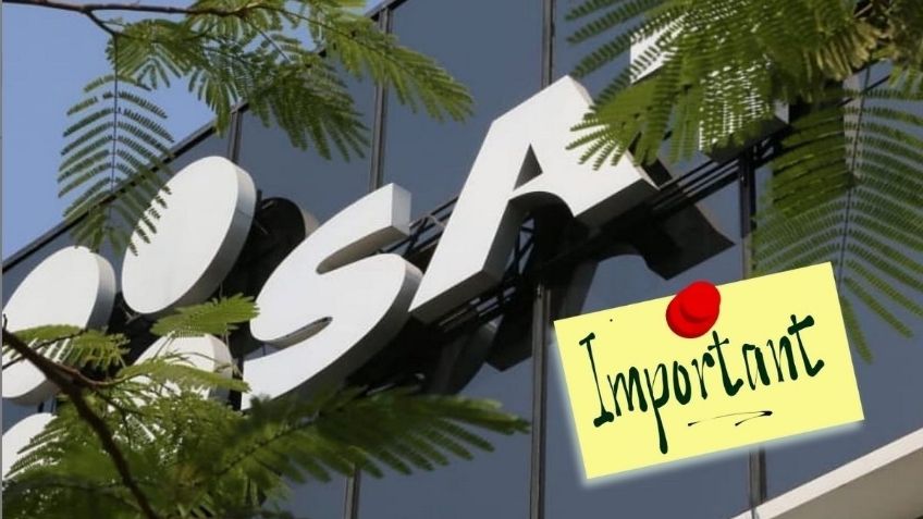 SAT: ¿Cuál es la fecha límite para sacar la constancia de situación fiscal?