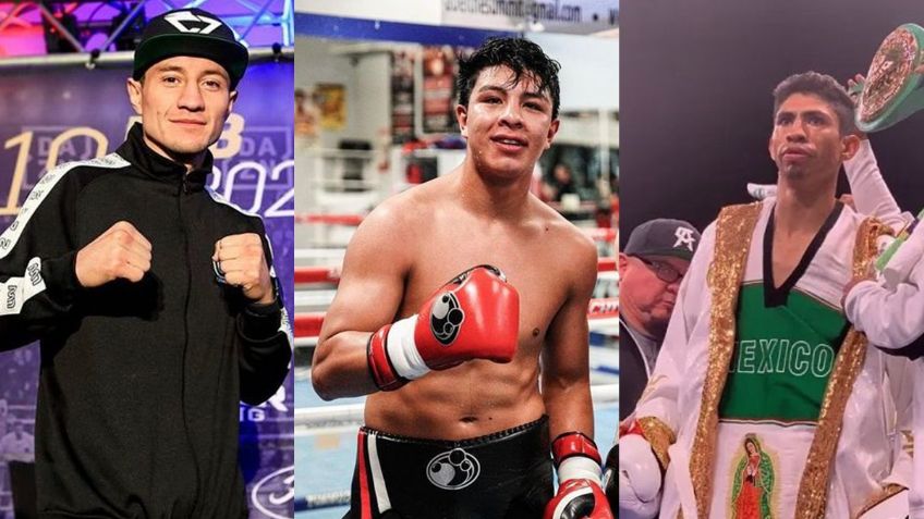Agenda boxeo: estas son todas las peleas de junio ¿qué mexicanos combaten?