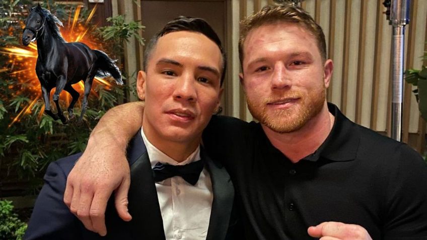Canelo Álvarez: ¿Cuánto cuesta el caballo que le regaló a Óscar Valdez?