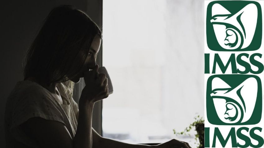 IMSS: ¿Cuáles son las reglas para inscribir a una empleada doméstica?