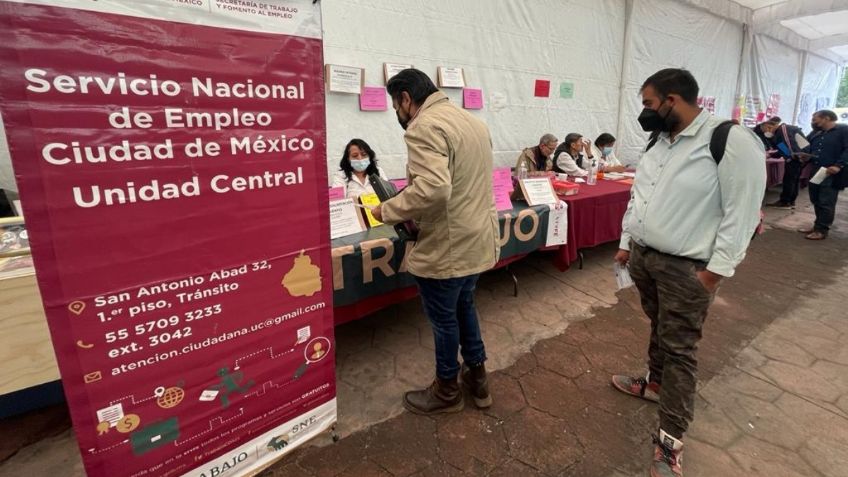 Subprograma trabajo temporal: ¿de cuánto es el pago y cuáles son los requisitos?