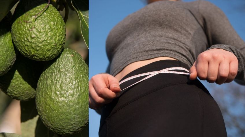 ¿Cuáles son los 7 principales alimentos que te ayudan a BAJAR DE PESO?