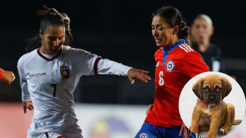 Perrito invade cancha, interrumpe partido y se lleva el show (VIDEO VIRAL)