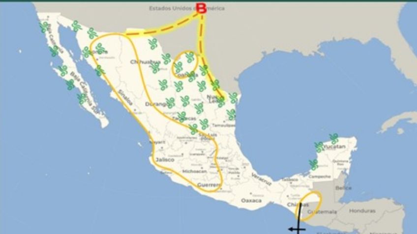 Ciclón Tropical Bonnie: ¿cuándo provocará LLUVIAS en México?