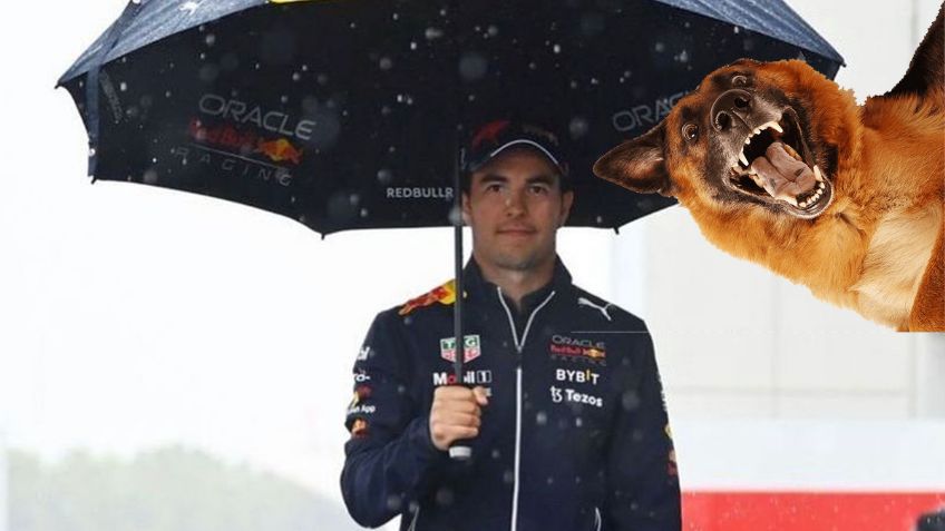 Perro se vuelve VIRAL por "conducir"  el monoplaza de Checo Pérez (VIDEO)