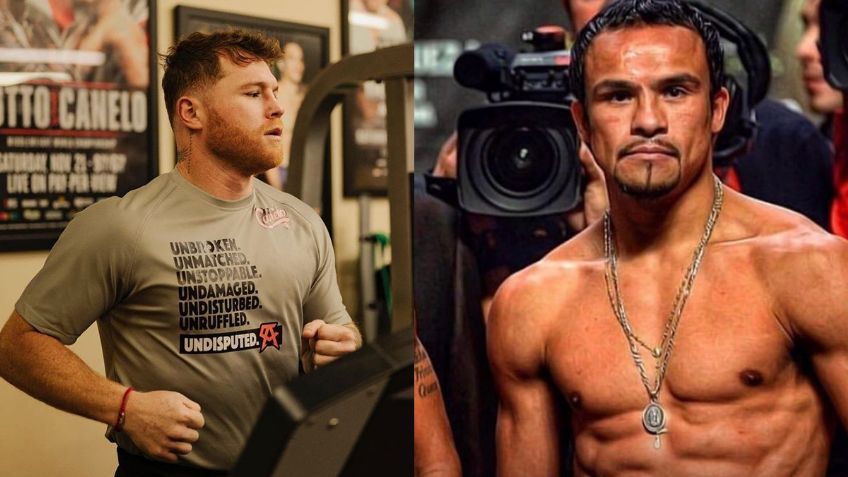 Juan Manuel Márquez destapa estrategia de Canelo vs Golovkin y da pronóstico de nocaut