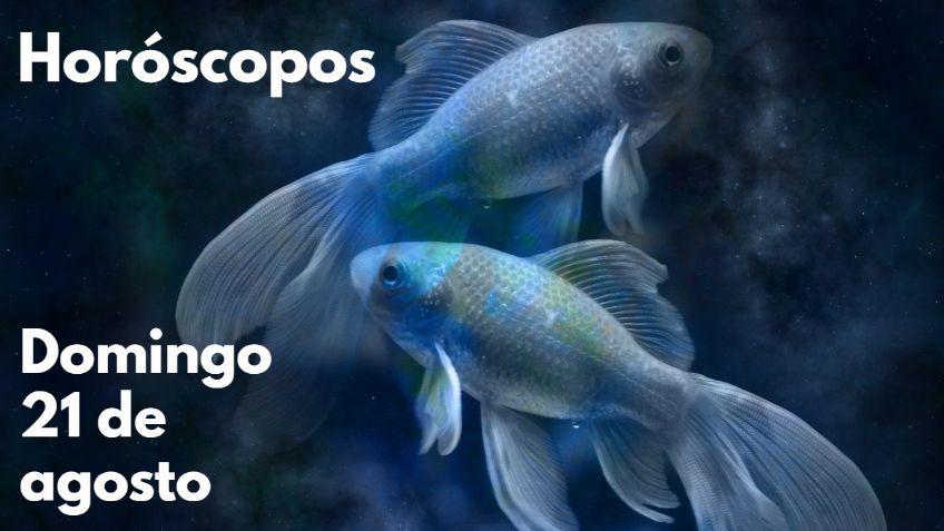 Horóscopos: Número de la suerte y predicciones para tu signo HOY domingo 21 de agosto
