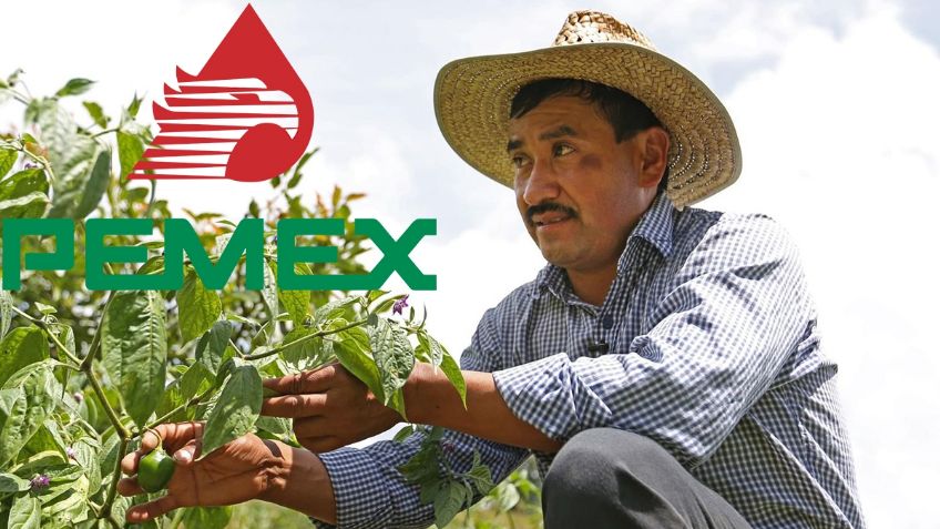 Pensión Pemex: ¿Quiénes puden ser beneficiarios de este apoyo?