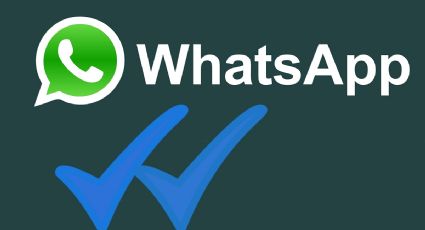 WhatsApp: Así puedes ocultar tu estado en línea a un solo contacto | PASO A PASO