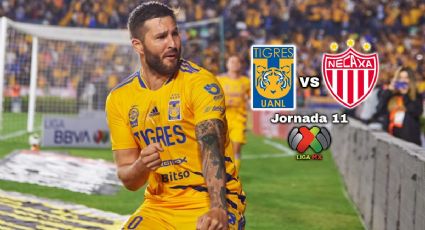 Qué canal transmite Tigres vs Necaxa EN VIVO por TV: Jornada 11 Liga MX