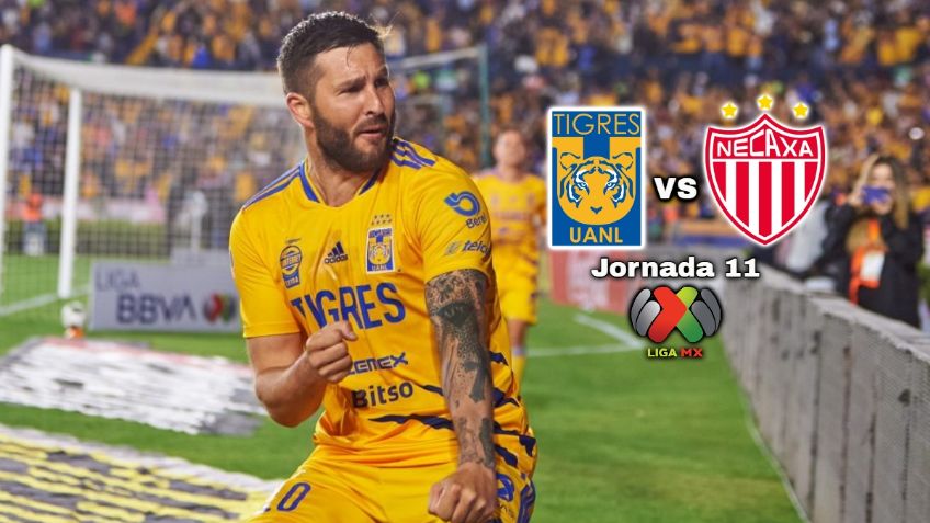 Qué canal transmite Tigres vs Necaxa EN VIVO por TV: Jornada 11 Liga MX