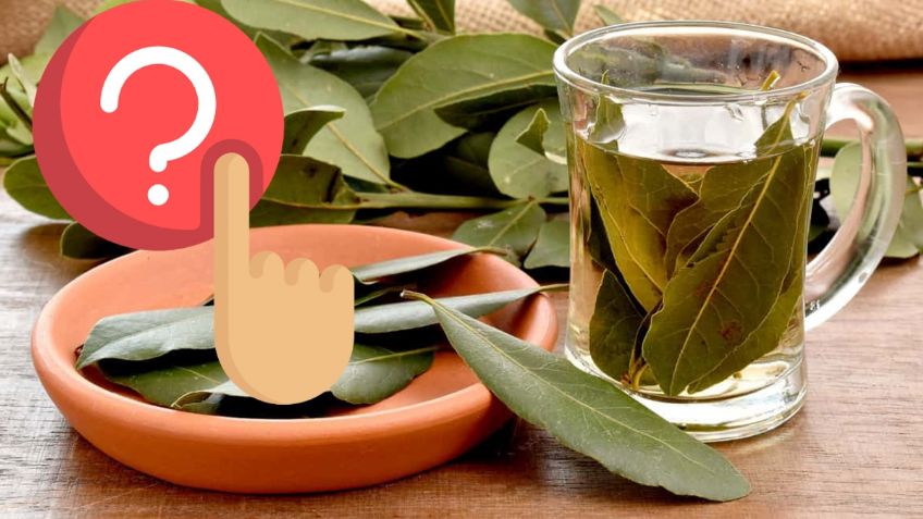 ¿Para qué sirve el Té de Laurel y cómo prepararlo para Bajar de Peso?