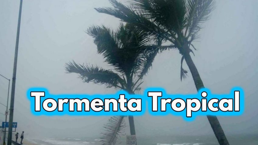 Tormenta Tropical Howard: ¿Dónde habrá LLUVIAS hoy domingo 7 de agosto?