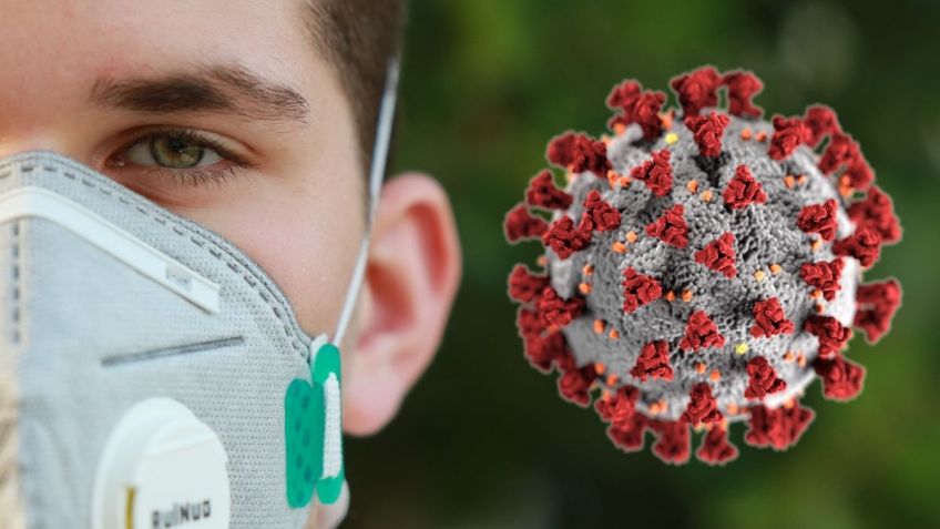 Los alimentos que DEBES COMER para recuperarte más rápido del Covid-19