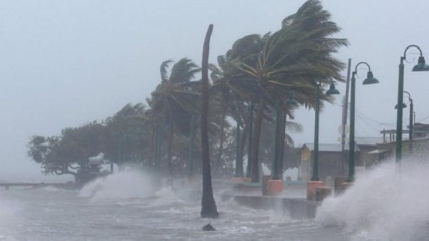 Tormenta Tropical Madeline: ¿Dónde provocará LLUVIAS hoy lunes 19 de septiembre?
