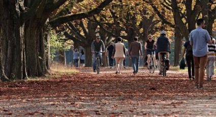 Equinoccio de OTOÑO 2022 ¿Cuándo y a qué hora empieza?