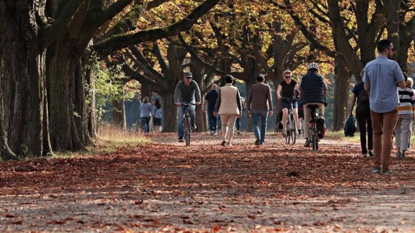 Equinoccio de OTOÑO 2022 ¿Cuándo y a qué hora empieza?