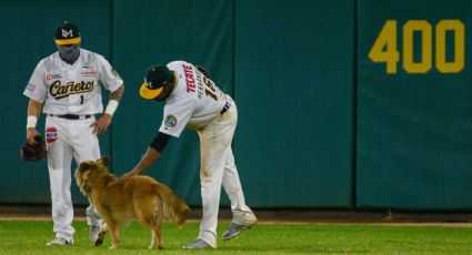 Canelo Cañas: la historia del perrito adoptado por los Cañeros que roba cámaras en la LMP (VIDEO)