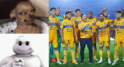 ¡Y falta Nico Ibáñez! MEMES se rinden ante TIGRES por golear a Pachuca en el Clausura 2023