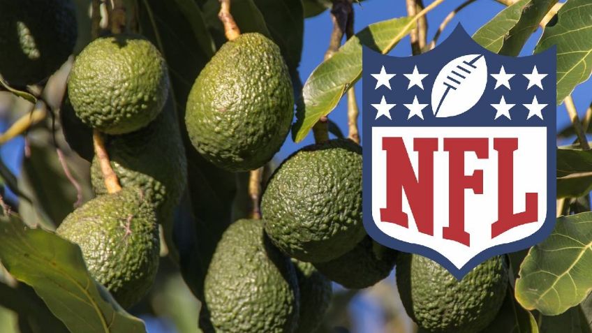 NFL: ¿Cuántas TONELADAS de aguacate enviará México a USA por el Super Bowl 2023?