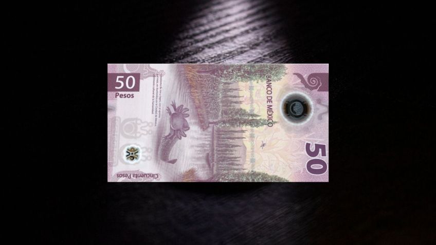 Así puedes reconocer el billete de 50 pesos con el ajolote que vale 280 mil pesos