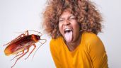 ¡Ten cuidado! 6 ENFERMEDADES que pueden provocar las mordeduras de cucarachas