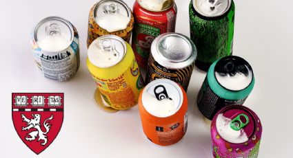 ¿Qué pasa si tomo REFRESCO todos los días según la Universidad de Harvard?