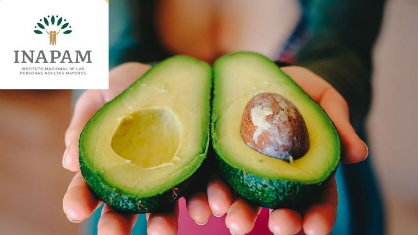 Credencial INAPAM | Estos son los servicios de NUTRICIÓN con DESCUENTO para adultos mayores