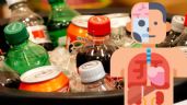 ¡Cuidado! ¿Cuáles son los órganos que se DAÑAN si se bebe refresco?