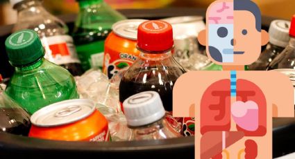 ¡Cuidado! ¿Cuáles son los órganos que se DAÑAN si se bebe refresco?